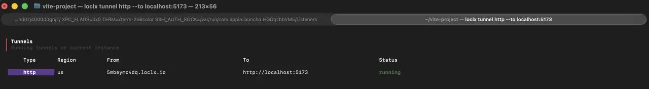 loclx HTTP tunnel forwarding a public loclx.io URL to the Vite dev server on localhost:5173