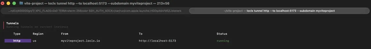 loclx HTTP tunnel running on a reserved myviteproject subdomain