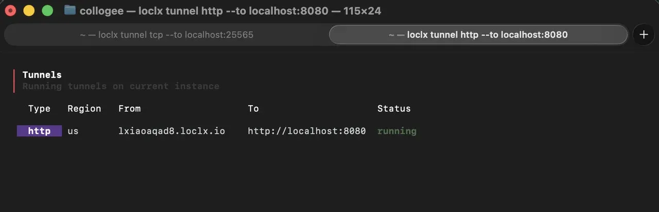 loclx HTTP tunnel serving a local dashboard on port 8080 over an HTTPS URL