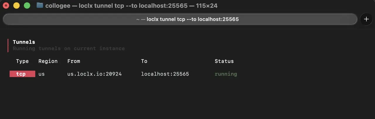 loclx TCP tunnel forwarding a public us.loclx.io endpoint to a local Minecraft server on port 25565