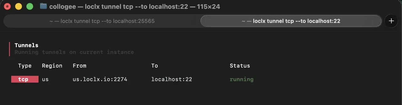 loclx TCP tunnel exposing a local SSH server on port 22 through a public endpoint