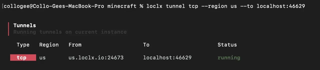 loclx Tunnel Command Output