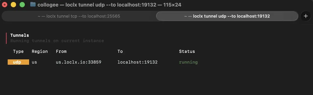 loclx UDP tunnel forwarding to a local Minecraft Bedrock server on port 19132