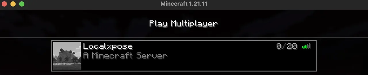 Viewing Server in Minecraft Multiplayer