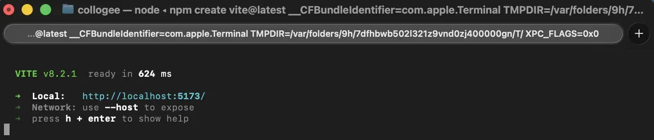 Vite dev server startup output showing the local address and the --host hint for exposing it to the network