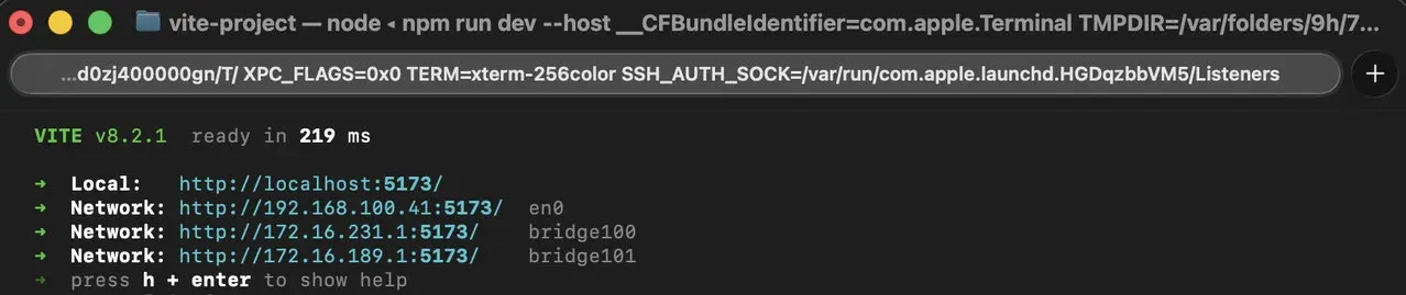 Vite startup output with --host enabled, showing the LAN address alongside localhost