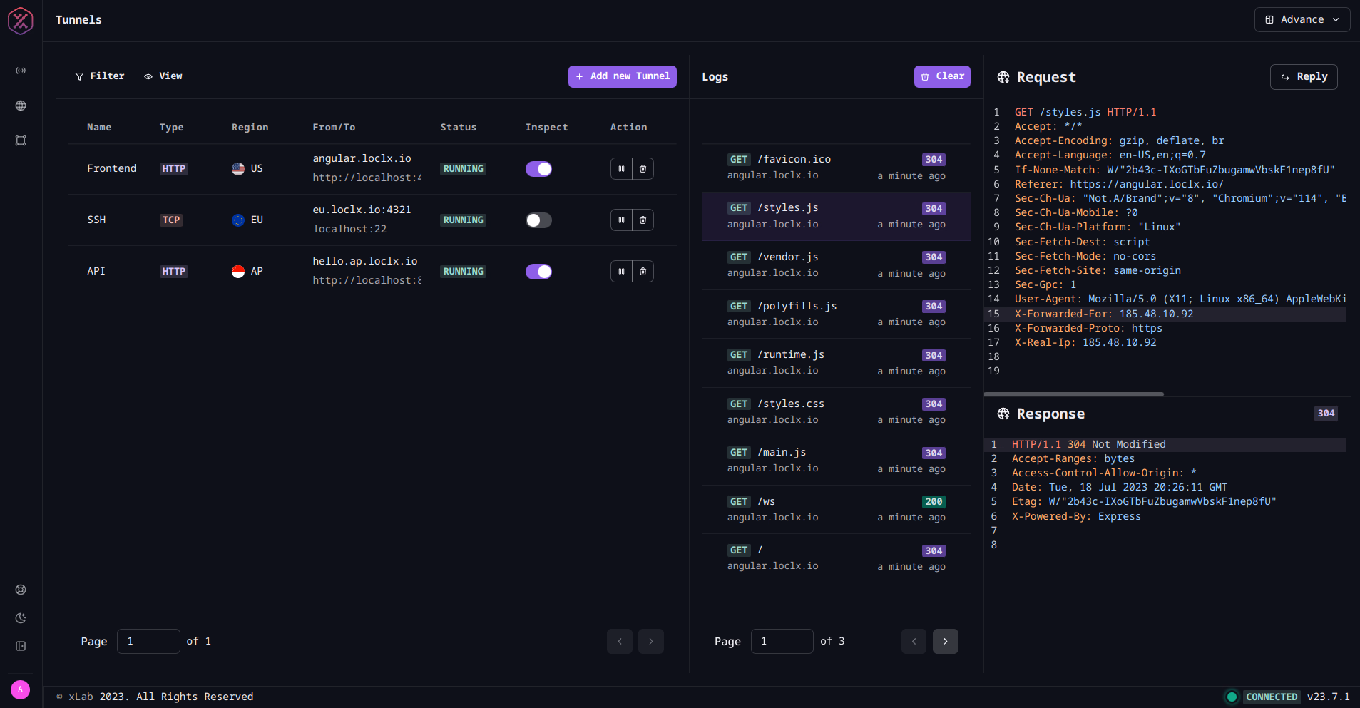 Screenshot of LocalXpose GUI